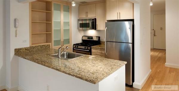 1 bedroom apartment for rent in Financial District - Manhattan, New York