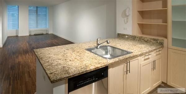 1 bedroom apartment for rent in Financial District - Manhattan, New York