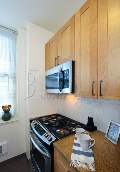 1 bedroom apartment for rent in Battery Park - Manhattan, New York