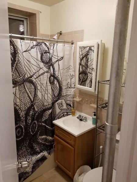 1 bedroom apartment for rent in Astoria - Queens, New York