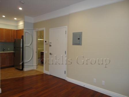 1 bedroom apartment for rent in LIC - Queens, New York