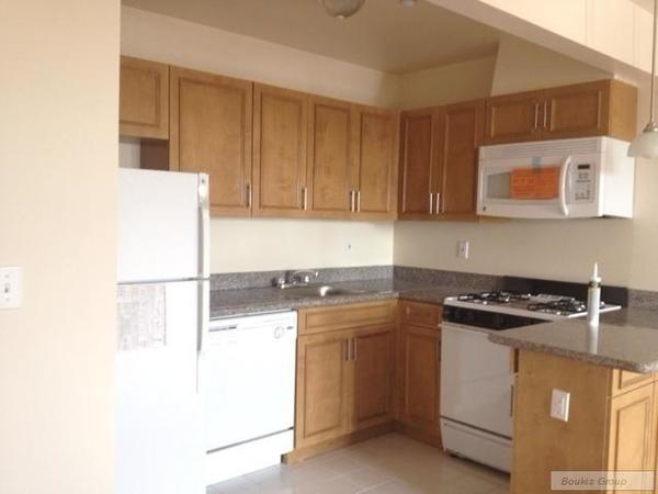 1 bedroom apartment for rent in LIC - Queens, New York