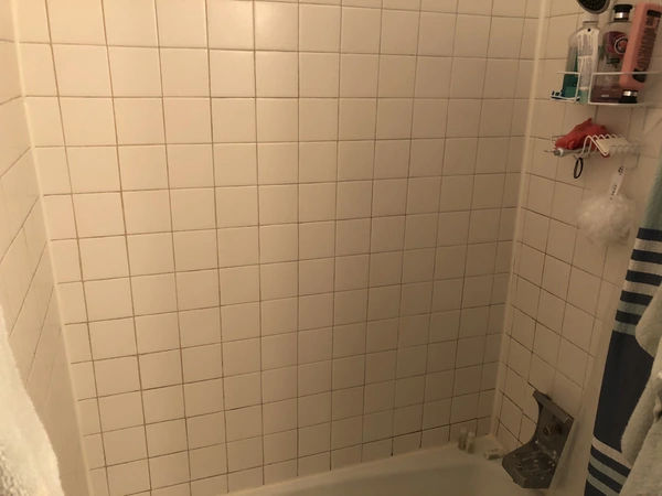 Studio Apartment for rent in Gold Coast - Central, Chicago