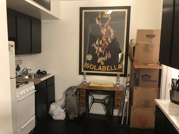 Studio Apartment for rent in Gold Coast - Central, Chicago