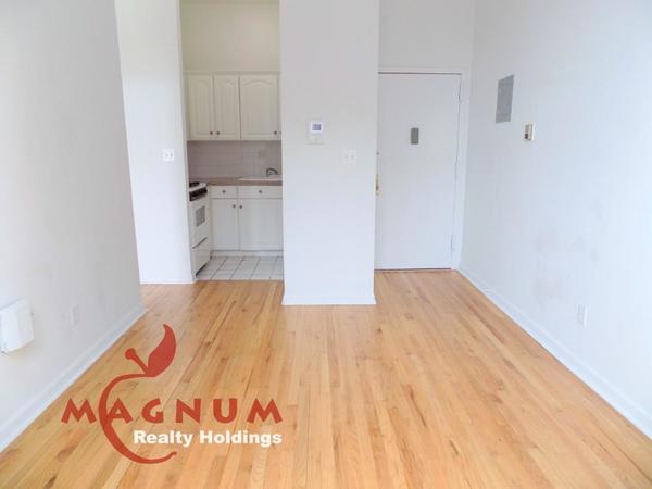 1 bedroom apartment for rent in Lower East Side - Manhattan, New York