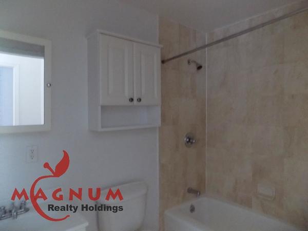 1 bedroom apartment for rent in Lower East Side - Manhattan, New York