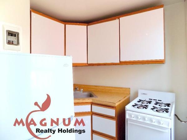 1 bedroom apartment for rent in East Village - Manhattan, New York