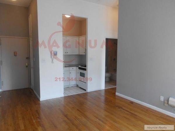 1 bedroom apartment for rent in Lower East Side - Manhattan, New York