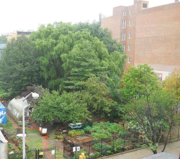 1 bedroom apartment for rent in East Village - Manhattan, New York