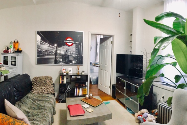 1 bedroom apartment for rent in Boerum Hill - Brooklyn, New York