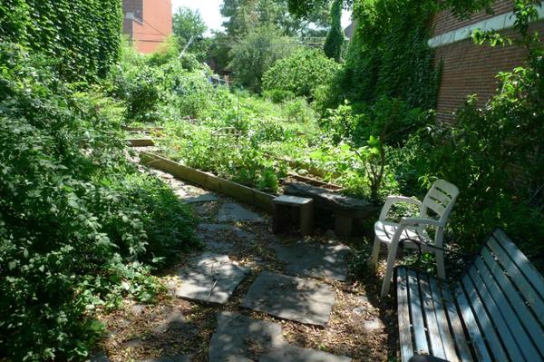 2 bedrooms apartment for rent in Park Slope - Brooklyn, New York