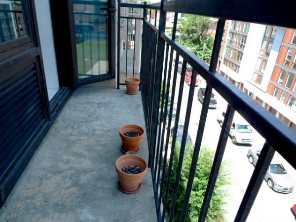 1 bedroom apartment for rent in Clinton Hill - Brooklyn, New York