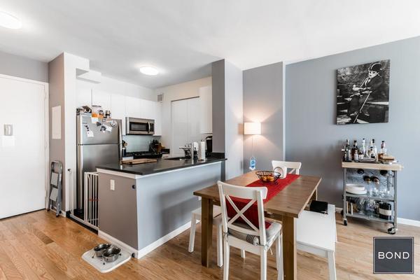 2 bedrooms apartment for rent in LIC - Queens, New York