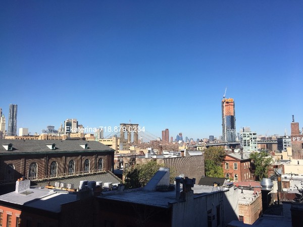 1 bedroom apartment for rent in Brooklyn Heights - Brooklyn, New York
