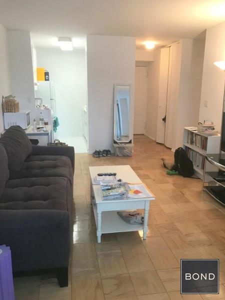 2 bedrooms apartment for rent in Upper East Side - Manhattan, New York