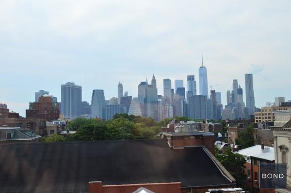 1 bedroom apartment for rent in Brooklyn Heights - Brooklyn, New York