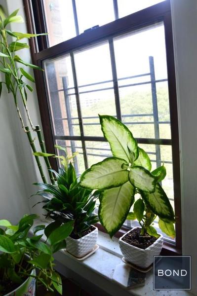 1 bedroom apartment for rent in Brooklyn Heights - Brooklyn, New York