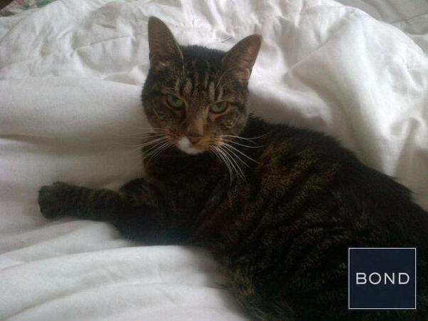 Studio Apartment for rent in Midtown East - Manhattan, New York