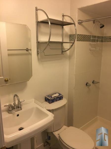 1 bedroom apartment for rent in Park Slope - Brooklyn, New York