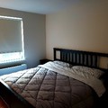 Room for rent in West Village #5