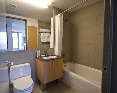 1 bedroom apartment for rent in Tribeca - Manhattan, New York