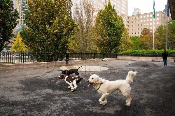 2 bedrooms apartment for rent in Battery Park - Manhattan, New York