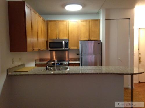 1 bedroom apartment for rent in Tribeca - Manhattan, New York