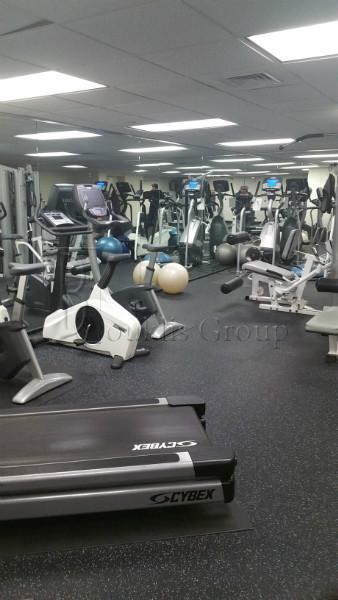 1 bedroom apartment for rent in Battery Park - Manhattan, New York