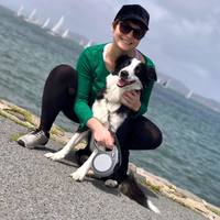 Looking for a roommate in Peninsula, East Bay, San Francisco - San Francisco