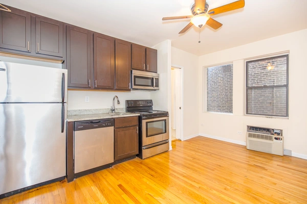 1 bedroom apartment for rent in Gold Coast - Central, Chicago