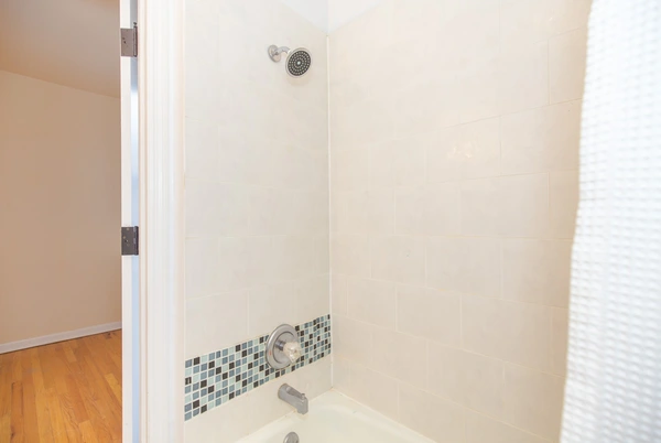 1 bedroom apartment for rent in Gold Coast - Central, Chicago