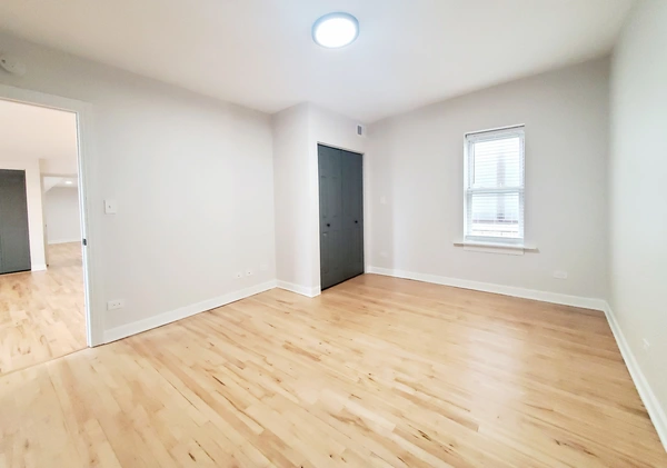 3 bedrooms apartment for rent in Lower West Side - West Side, Chicago