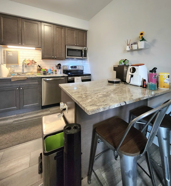 1 bedroom apartment for rent in Hyde Park - South Side, Chicago