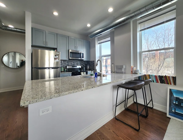 2 bedrooms apartment for rent in West Town - West Side, Chicago