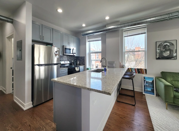 2 bedrooms apartment for rent in West Town - West Side, Chicago
