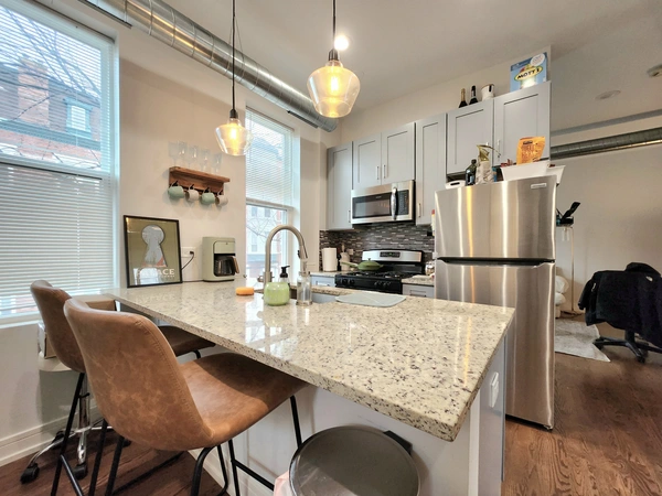 1 bedroom apartment for rent in West Town - West Side, Chicago