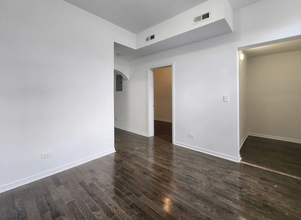1 bedroom apartment for rent in Lower West Side - West Side, Chicago