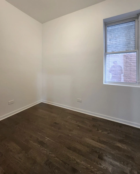 1 bedroom apartment for rent in Lower West Side - West Side, Chicago