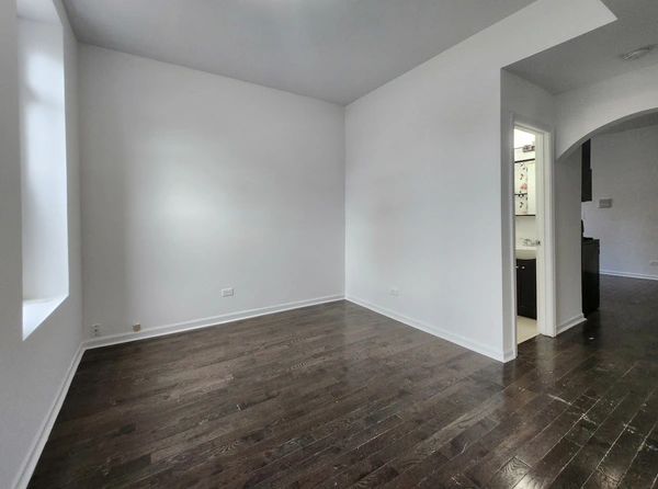 1 bedroom apartment for rent in Lower West Side - West Side, Chicago
