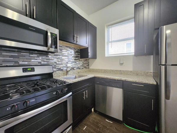 1 bedroom apartment for rent in Lower West Side - West Side, Chicago