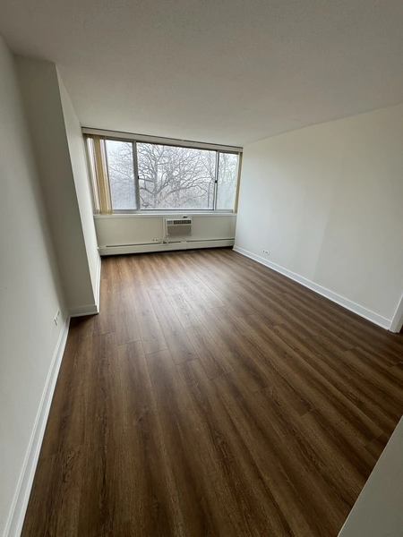 2 bedrooms apartment for rent in Lincoln Park - North Side, Chicago