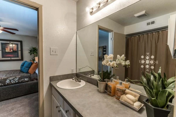 1 bedroom apartment for rent in Castlewood - Ne Houston, Houston