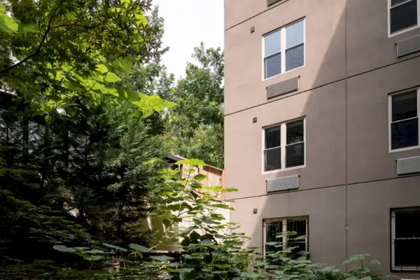 Coliving in Bedford Stuyvesant - Brooklyn, New York