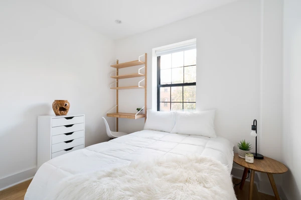 Coliving in Bedford Stuyvesant - Brooklyn, New York