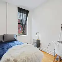Coliving in Greenpoint - Brooklyn, New York