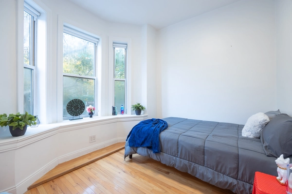 Coliving in Bedford Stuyvesant - Brooklyn, New York