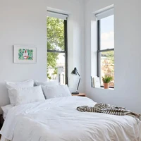 Coliving in Crown Heights - Brooklyn, New York