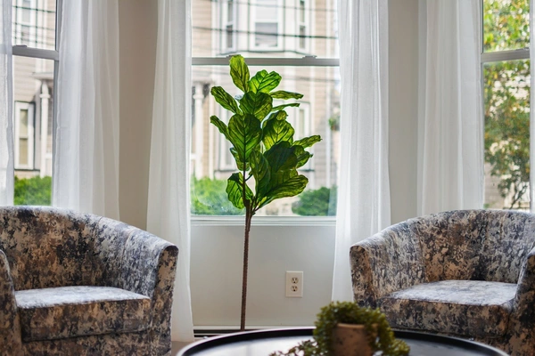 Coliving in Allston - Boston, Boston