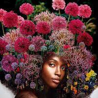 Looking for a roommate in Jersey City / Hoboken, The Bronx, Queens, Brooklyn, Manhattan - New York