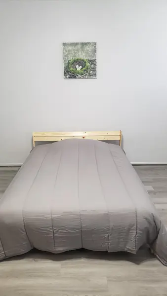 Coliving in East Side - East SATX, San Antonio